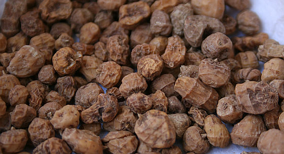 neviete-co-su-tigrie-orechy-mali-by-ste